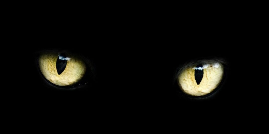 klątwa wiedzy w rachunkowości